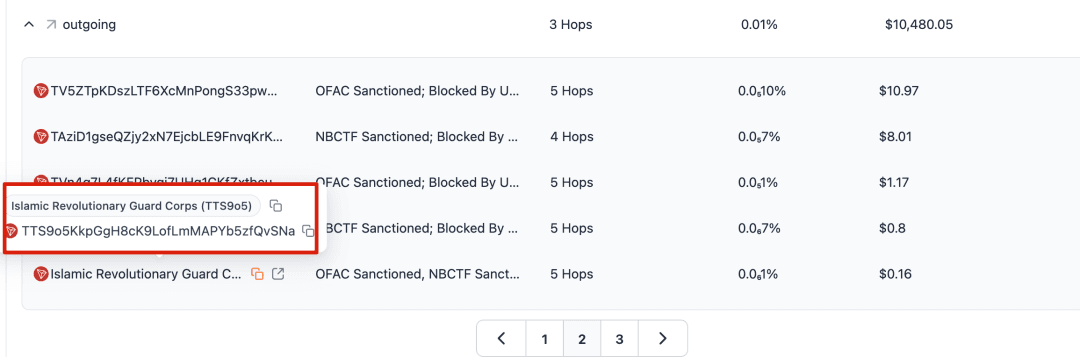 *Figure: Specific outgoing flow risk tag detail (IRGC associated)*