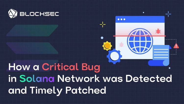 How a Critical Bug in Solana Network was Detected and Timely Patched