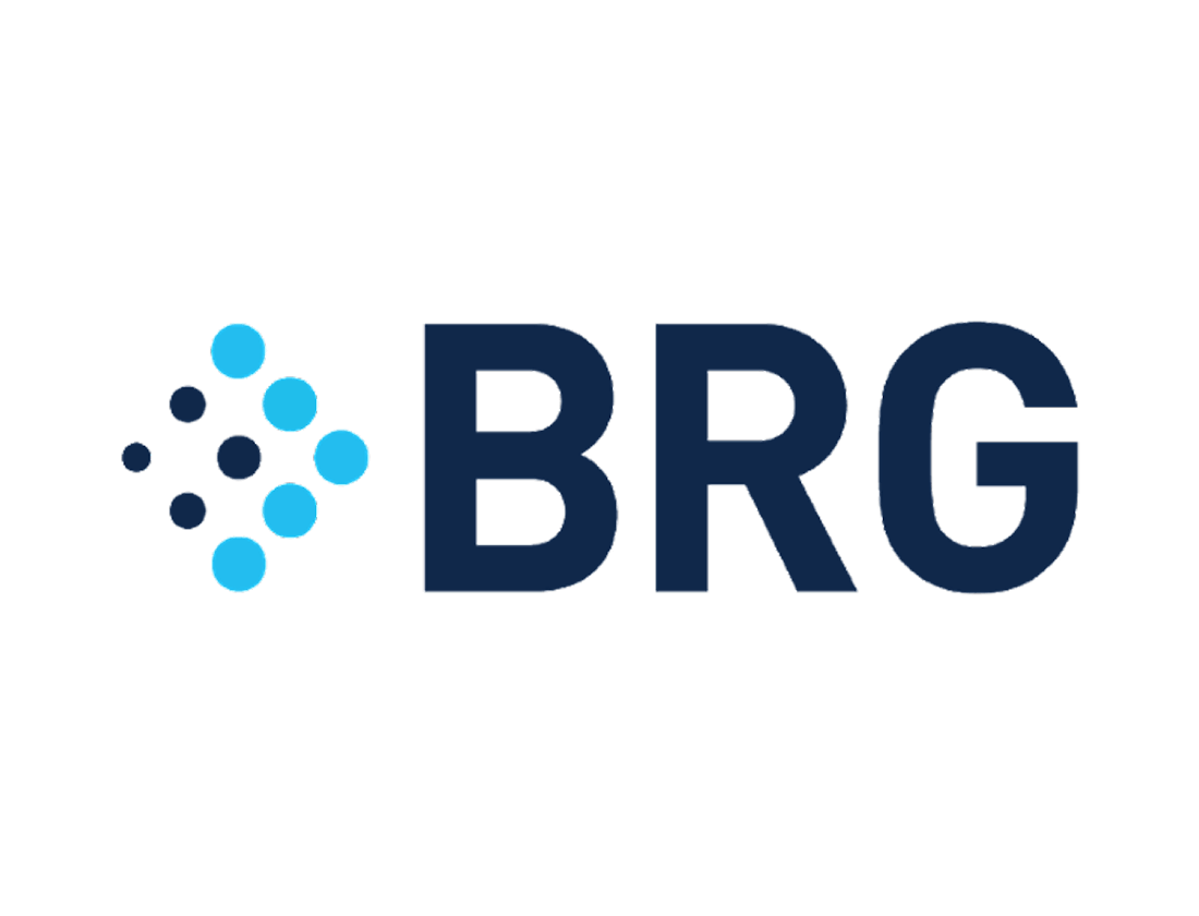 Berkeley Research Group